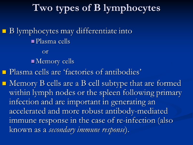 Two types of B lymphocytes B lymphocytes may differentiate into  Plasma cells 